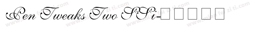 Pen Tweaks Two SSi字体转换